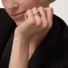 Panthere De Cartier-ring – Roségoud, tsavoriet-granaten, onyx, zwarte lak, diamanten – Cartier