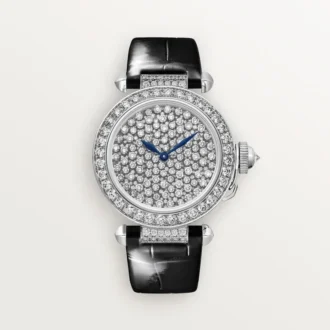 Pasha De Cartier-horloge