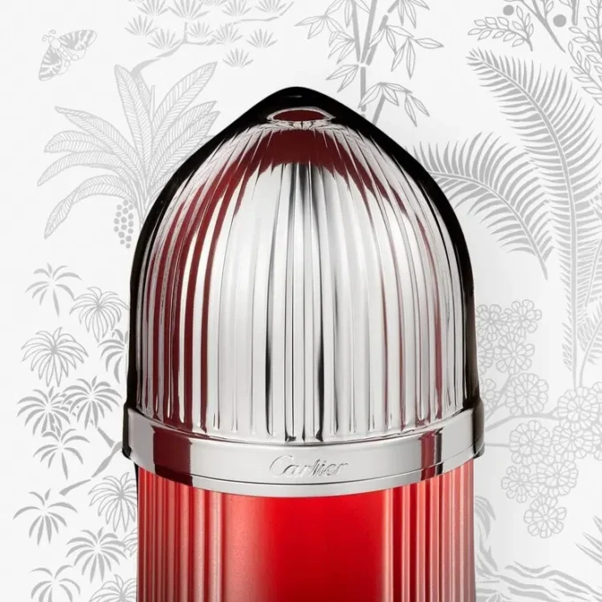 Pasha De Cartier Sport Edition-cadeauset