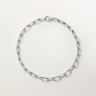 Santos De Cartier-armband, ketting, klein model