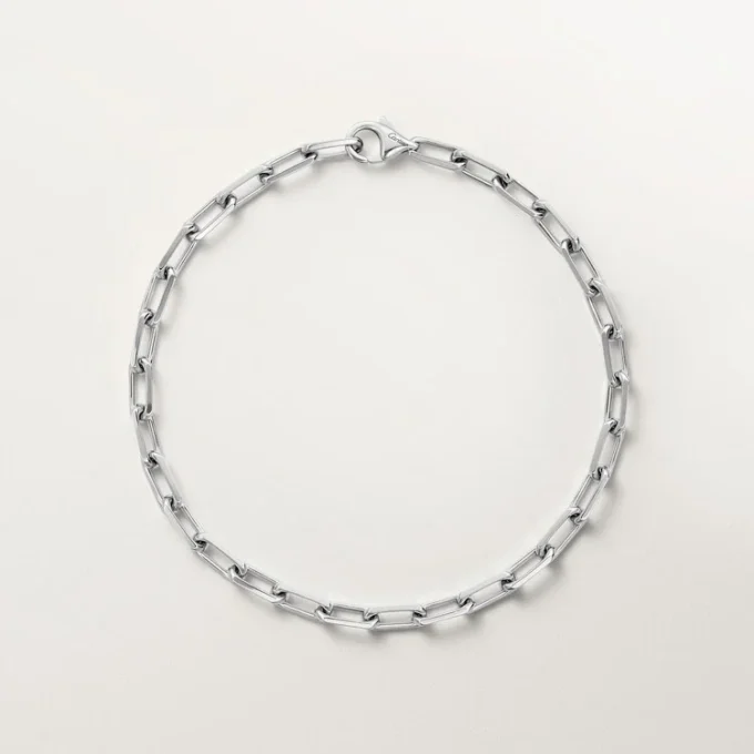 Santos De Cartier-armband, ketting, klein model