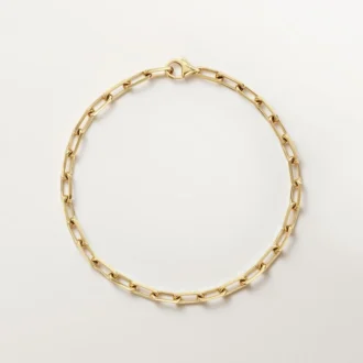 Santos De Cartier-armband, ketting, klein model