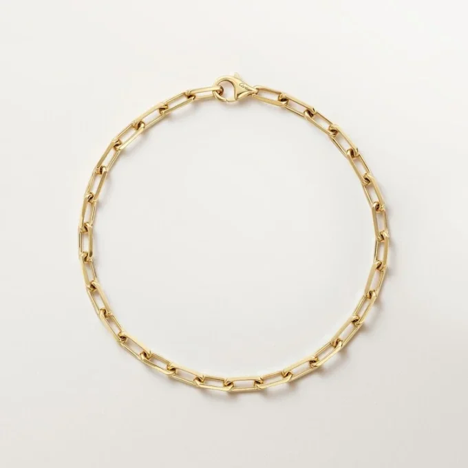 Santos De Cartier-armband, ketting, klein model
