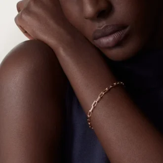 Santos De Cartier-armband, ketting, klein model
