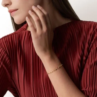 Santos De Cartier-armband, ketting, klein model
