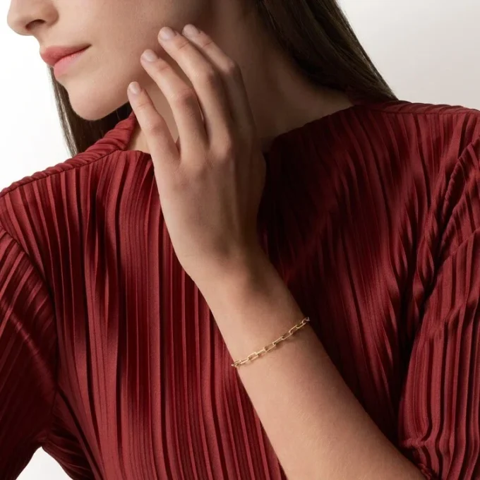 Santos De Cartier-armband, ketting, klein model