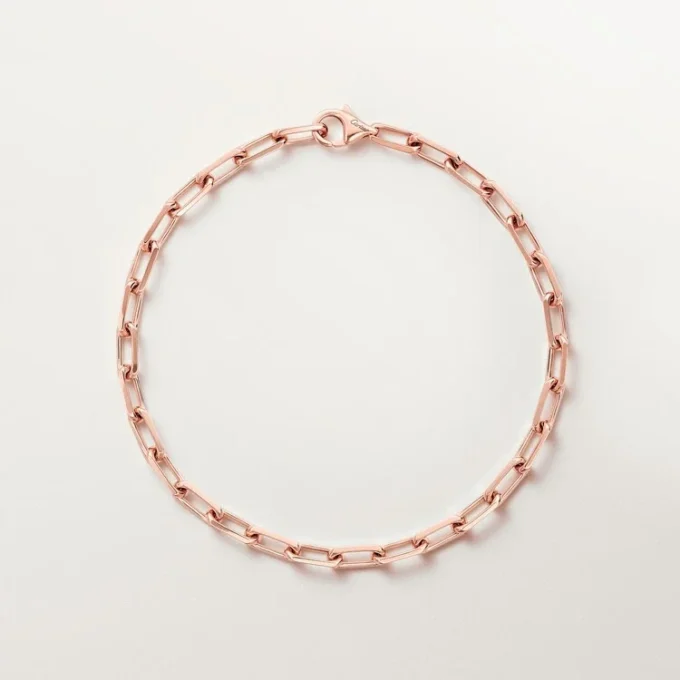 Santos De Cartier-armband, ketting, klein model