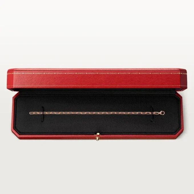 Santos De Cartier-armband, ketting, klein model