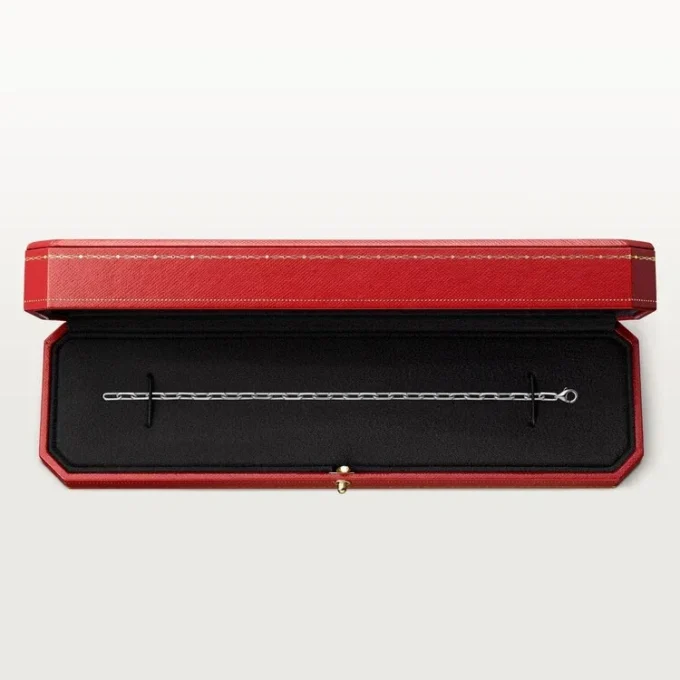 Santos De Cartier-armband, ketting, klein model