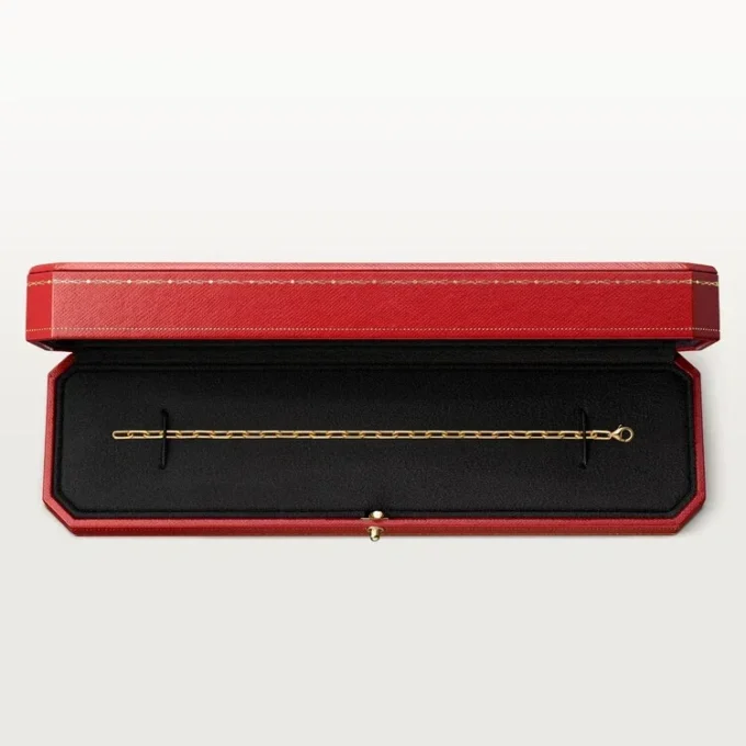 Santos De Cartier-armband, ketting, klein model