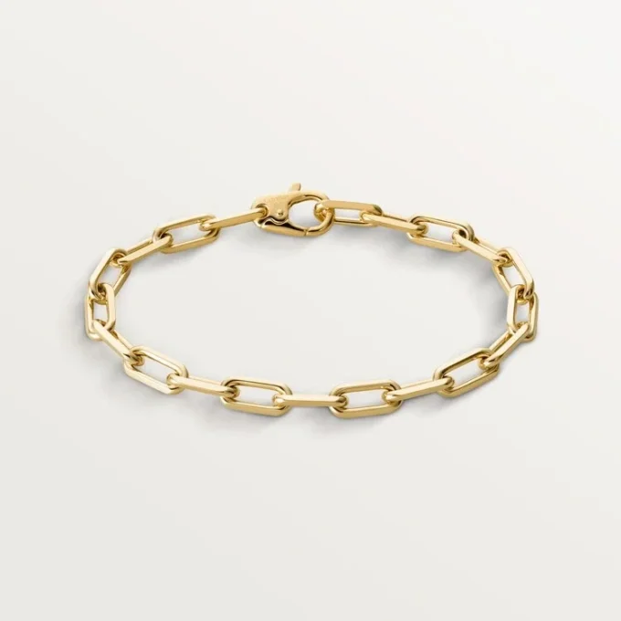 Santos De Cartier-armband, ketting, middelgroot model