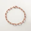Santos De Cartier-armband, ketting, middelgroot model