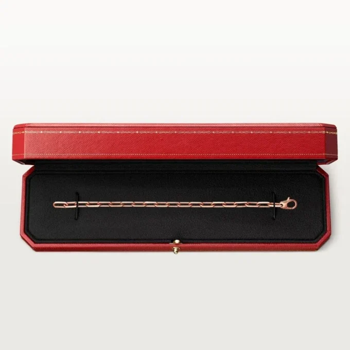 Santos De Cartier-armband, ketting, middelgroot model
