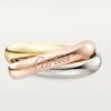 Trinity-ring, groot model